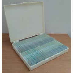 Sada trvalých preparátů II.