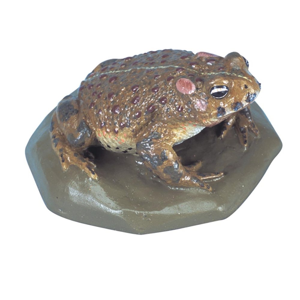 Plazi a obojživelníci