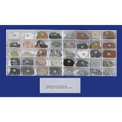 Kolekce horninotvorných minerálů, 10 minerálů a 30 hornin