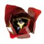 Květ tulipánu, zvětšení 3x (Tulipa gesneriana)  T210101