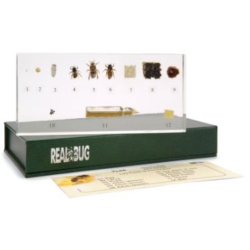 Nástěnné obrazy a výukové tabule