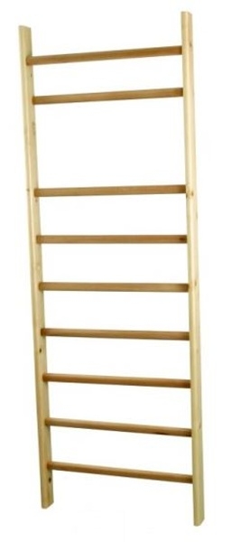 Gymnastika