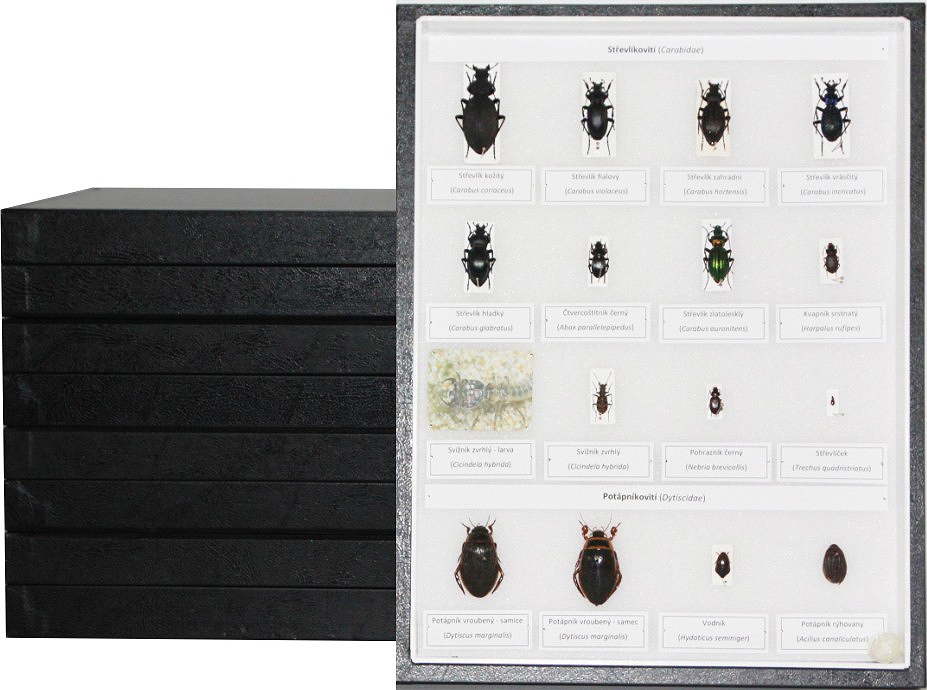 Sbírkové krabice a panely