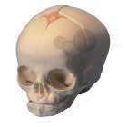 Anatomie a fyziologie člověka